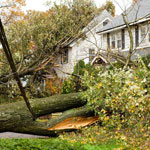 What do I do after a storm hits?