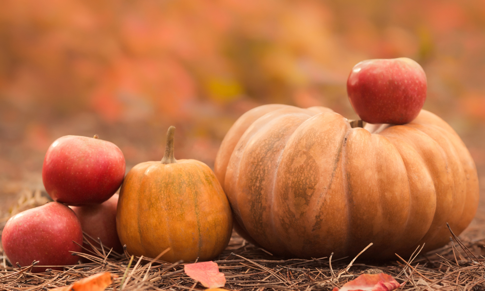 October Orchards & Patches